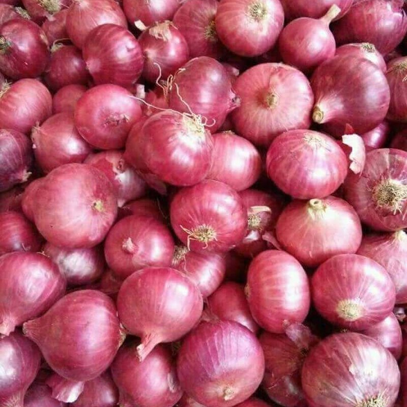 Onion