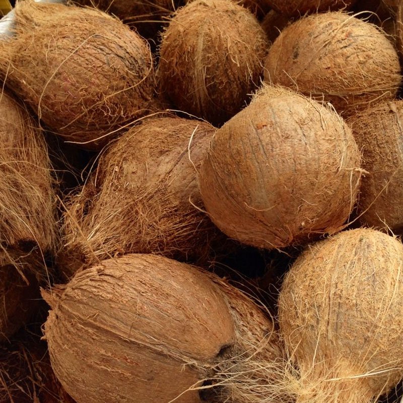 Coconuts